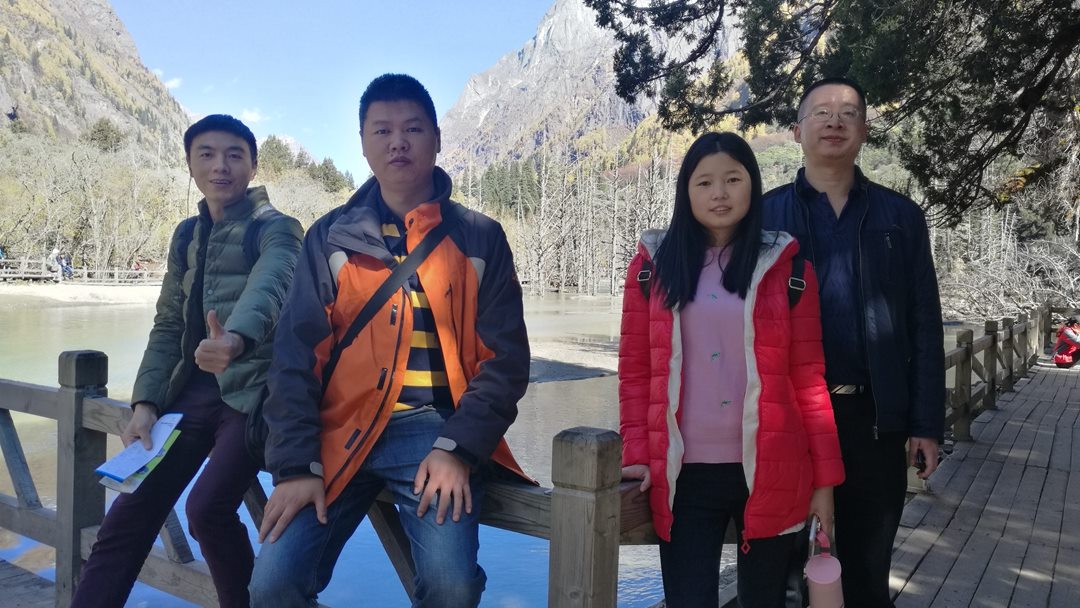 IM电竞(中国区)·官方网站
